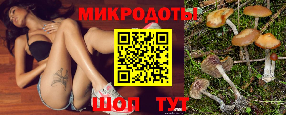 Псилоцибиновые грибы ЛСД  Вход с VPN  Зеленодольск  Галлюциногенные грибы Psilocybine cubensis 